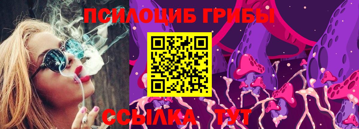 Тольятти  Галлюциногенные грибы мухоморы  Вход с VPN 