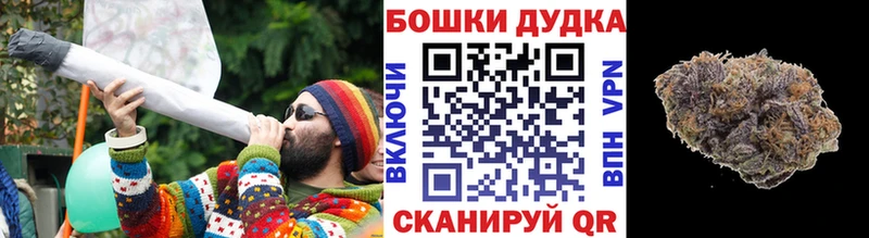 Каннабис сатива  Тольятти 